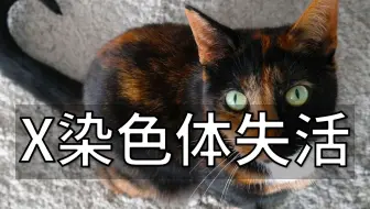 表观遗传系列-10. X染色体失活：看细胞如何把一碗水端平