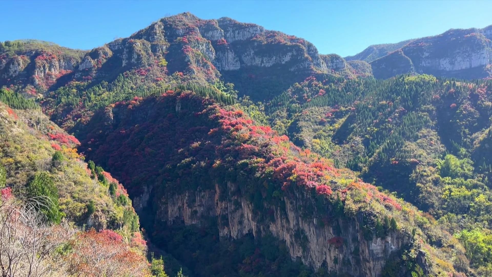 淄川红叶景点大全图片