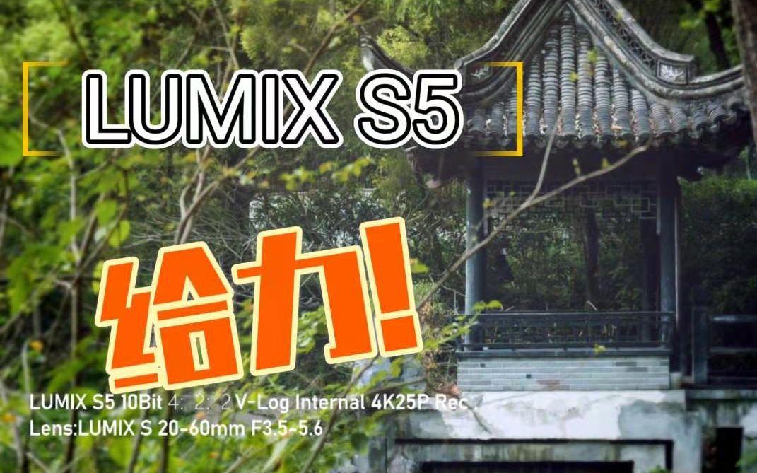 松下LUMIX S5 评测源4K画质 |老司机刀法准确 森林系主题调色哔哩哔哩bilibili