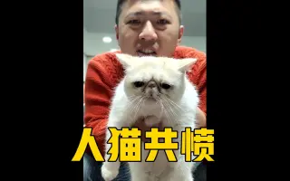 虐待动物 搜索结果 哔哩哔哩弹幕视频网 つロ乾杯 Bilibili