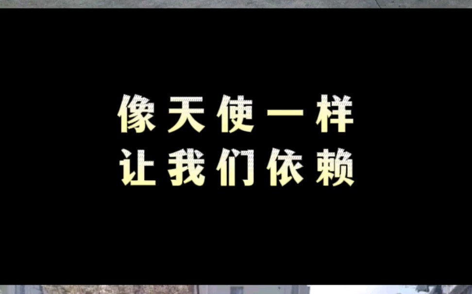 团结抗疫,守护你我,宝诚尊悦在行动哔哩哔哩bilibili