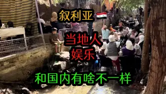 Tải video: 停战后的叙利亚人，是如何消遣时间的，当地美女这样做