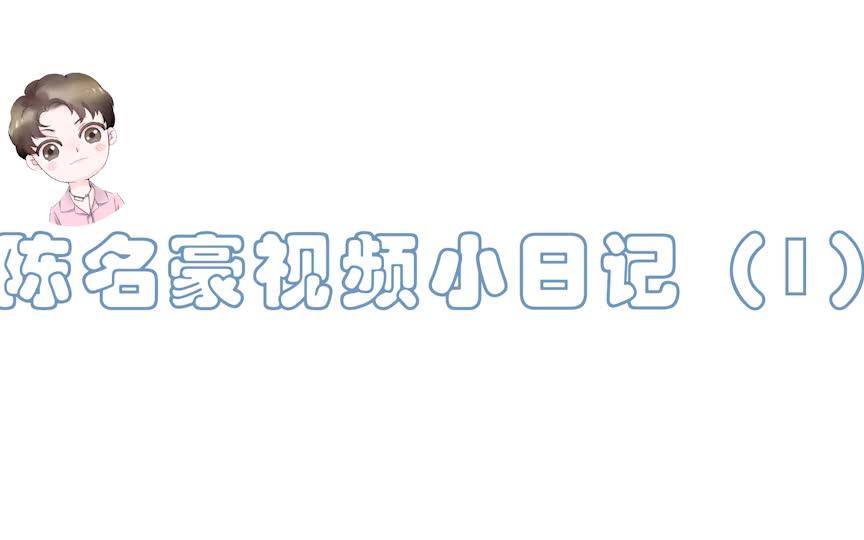 【ZOOM超能团】陈名豪视频小日记(1)哔哩哔哩bilibili