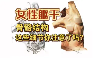 Download Video: 【躯干公开课】女性躯干骨骼结构 这些细节你注意到了吗？