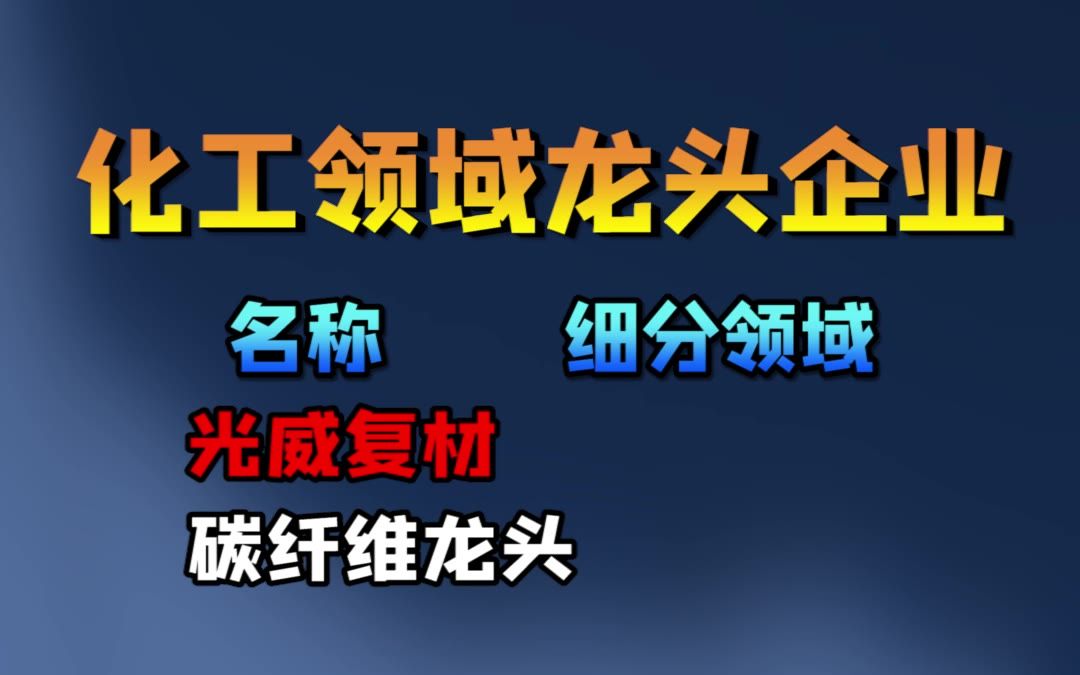 化工领域龙头企业(14名)哔哩哔哩bilibili