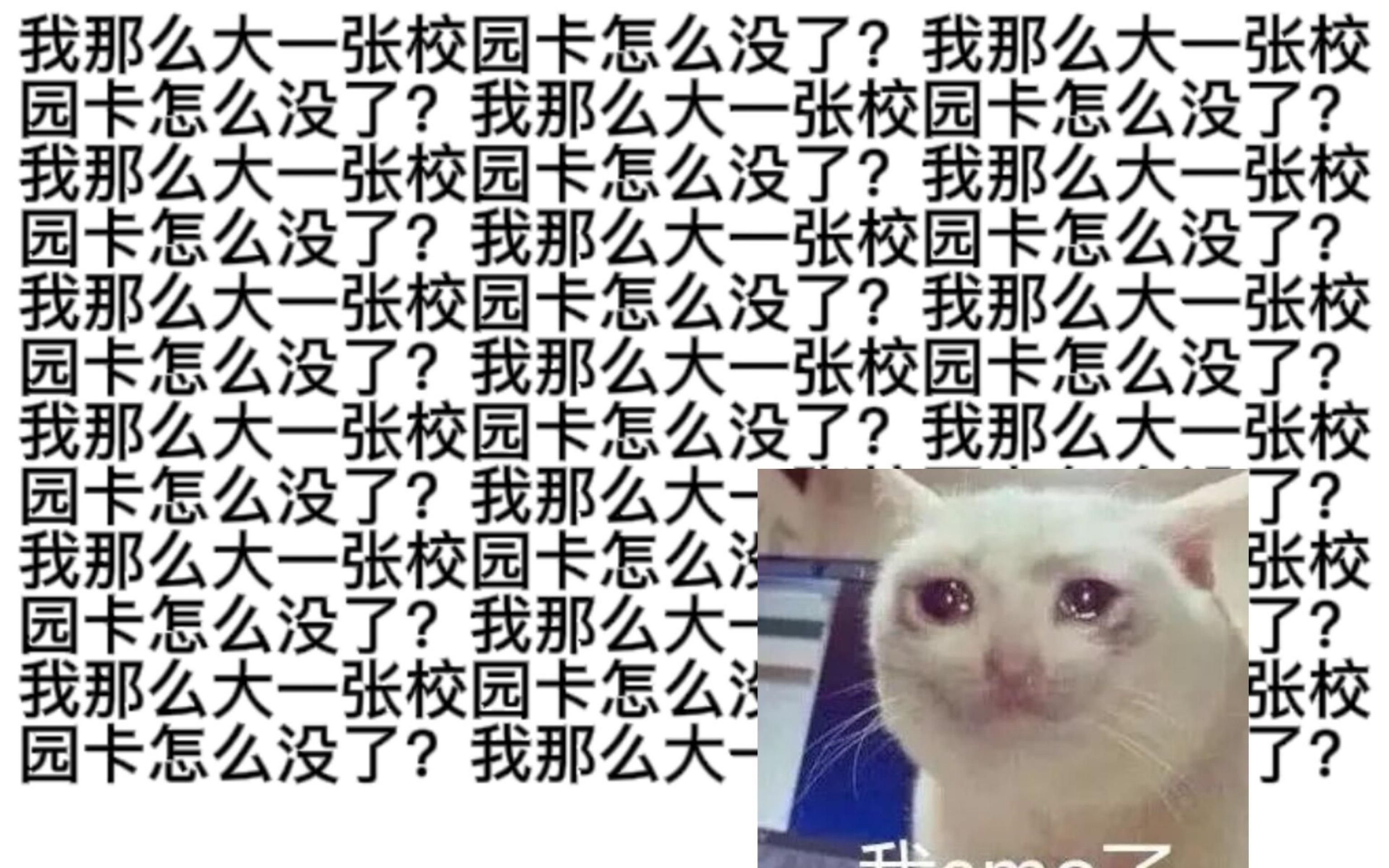 [图]《当代女大学生丢校园卡实录》