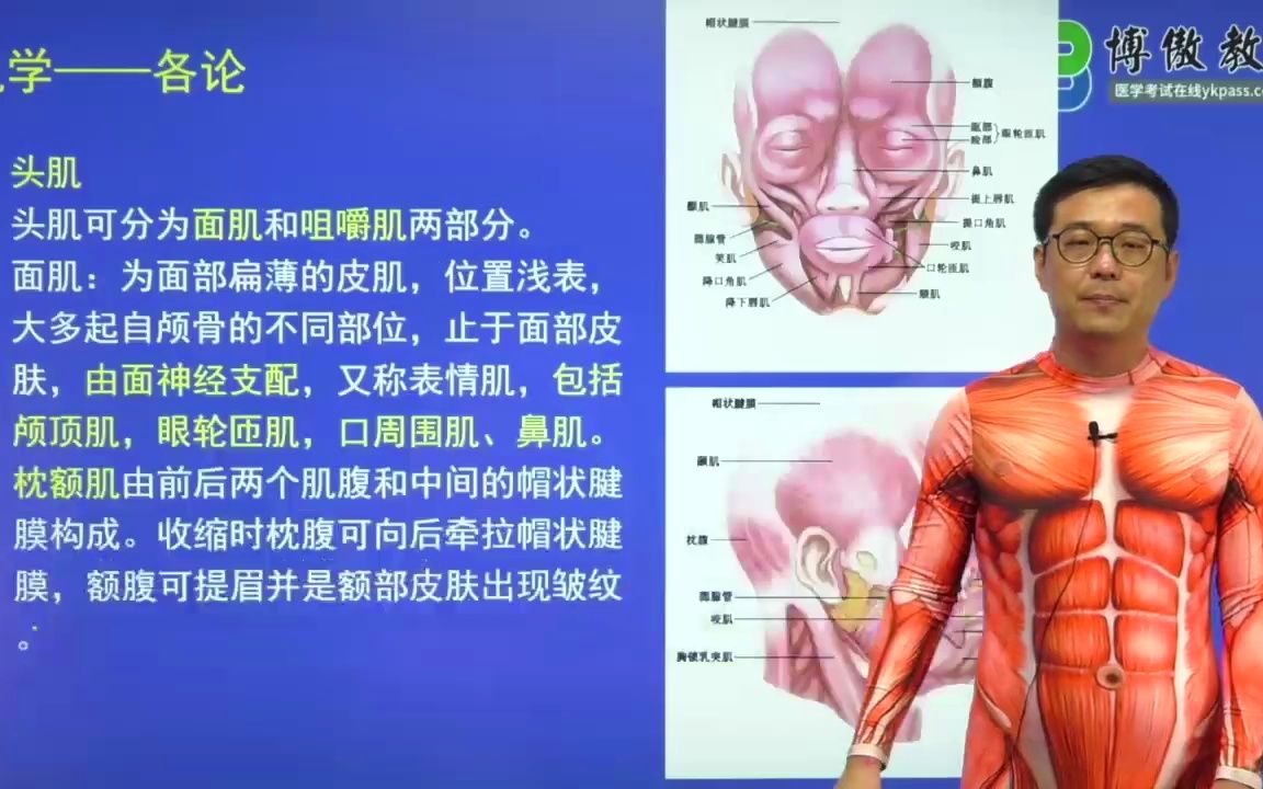 人体解剖清晰演示教学 医学基础知识考点详解哔哩哔哩bilibili