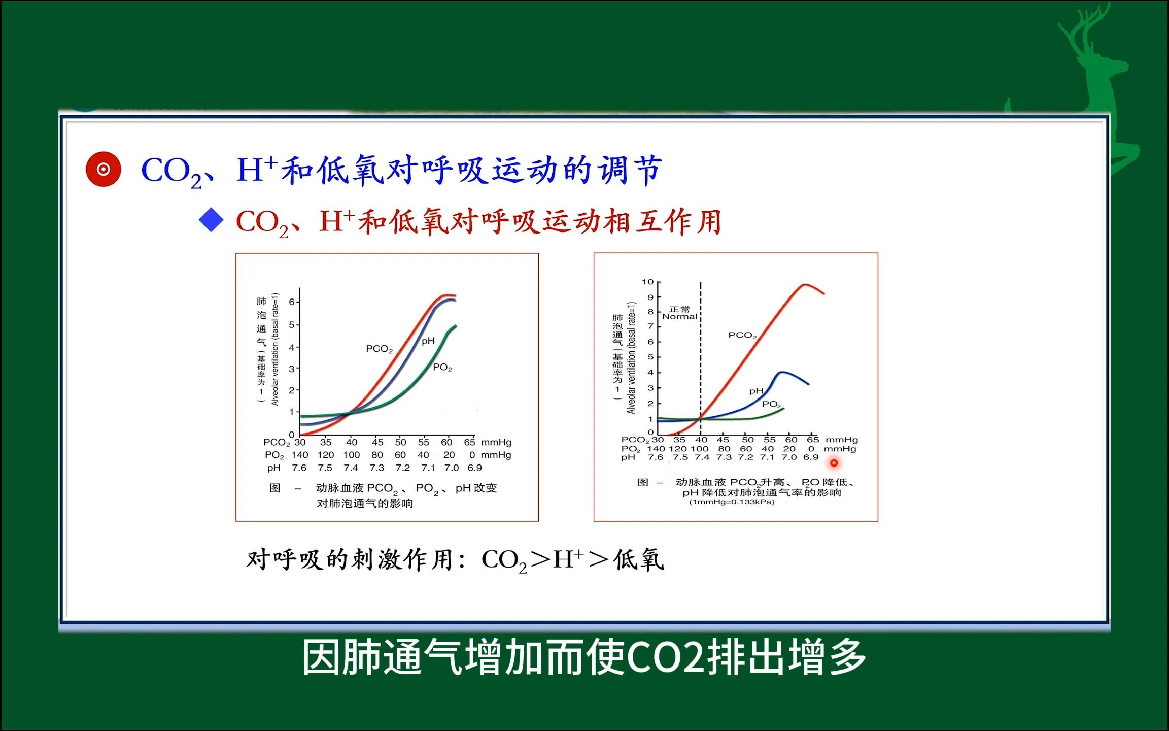 #CO2、H+和低氧对呼吸运动的调节#人体生理学#医学知识科普#每天学习一点点哔哩哔哩bilibili