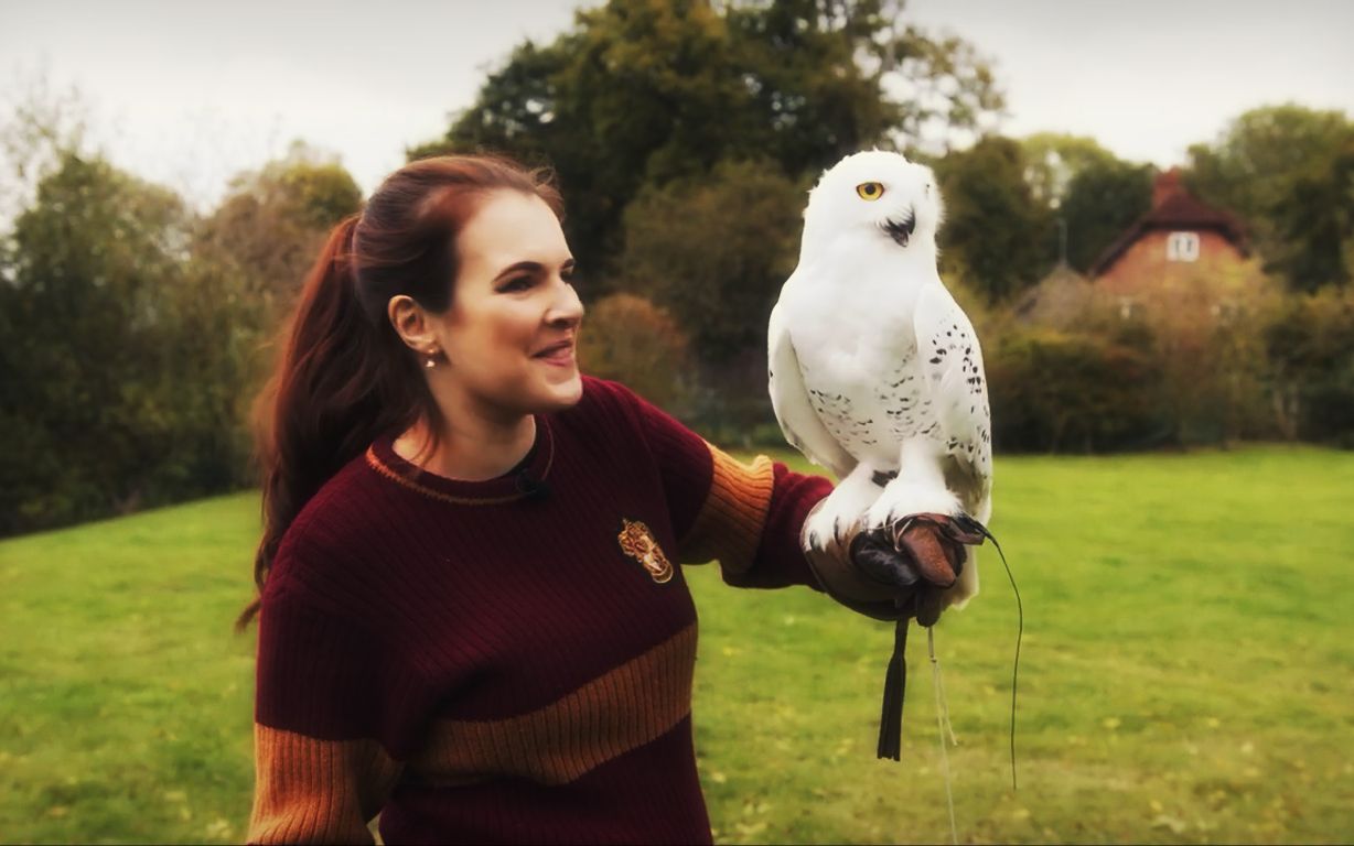 【哈利波特|海德薇|雪鸮】开门!霍格沃兹录取啦!