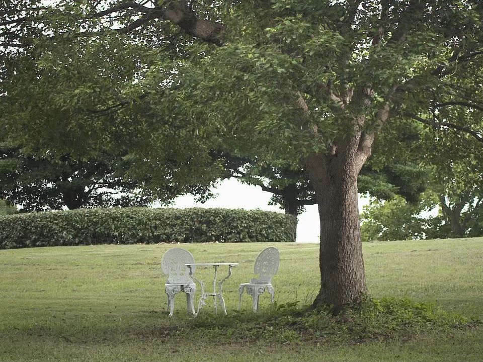 [图]牙狼GARO魔戒之花（09）饲育