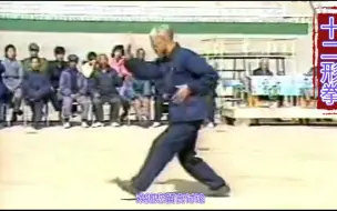 下载视频: 目前为止，这是我见过演练的特别好的形意十二形拳，十分少见