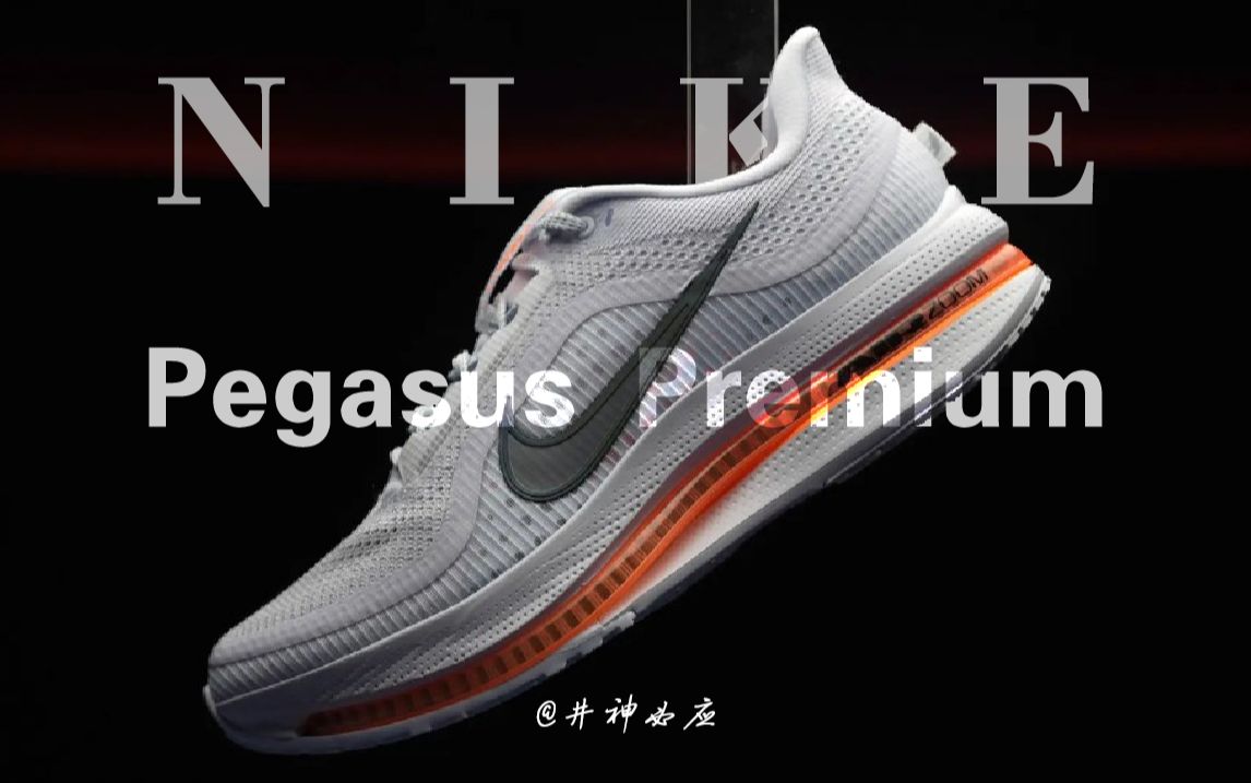 nike pegasus premium 预览