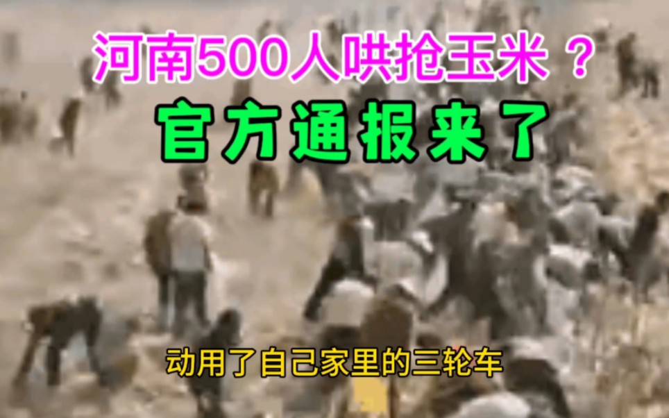 大反转,河南500人哄抢玉米?通报来了哔哩哔哩bilibili