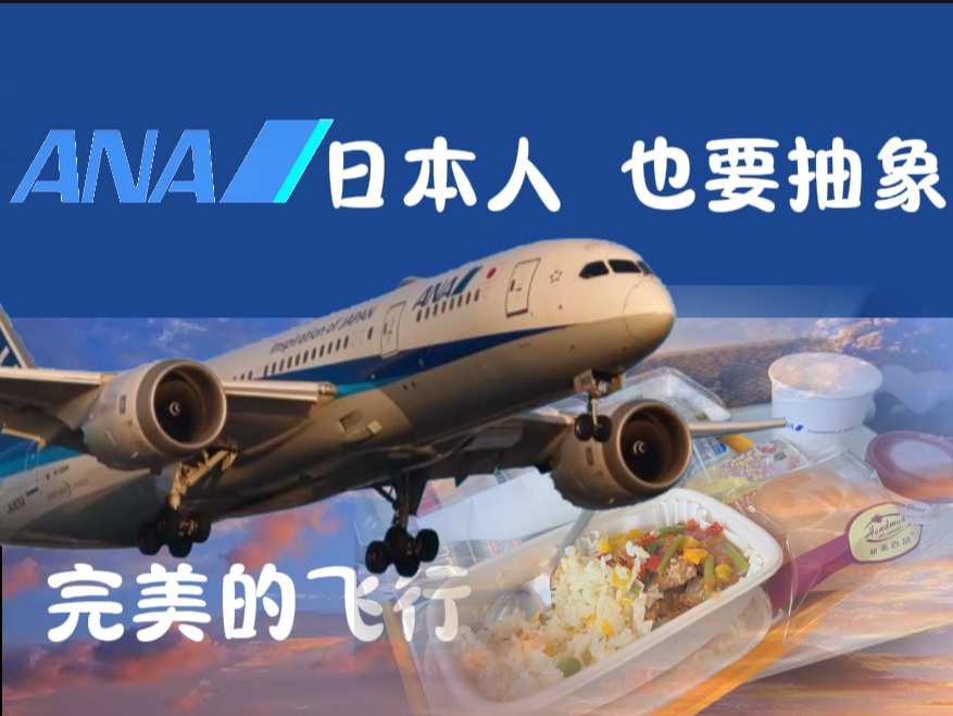 【飞行报告】五星航空,如此抽象?全日空NH962|北京东京|经济舱飞行纪录哔哩哔哩bilibili