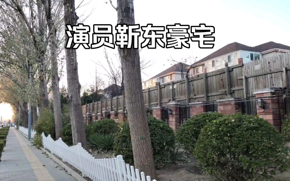 靳东上海2亿豪宅图片