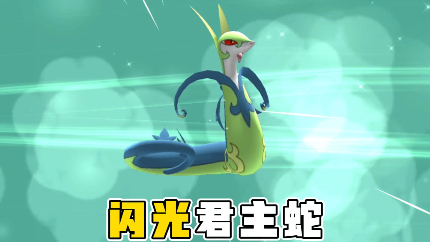 最强草系御三家:闪光君主蛇!
