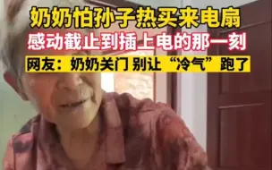 Descargar video: 奶奶怕孙子热买来电扇，感动截止到插上电的那一刻，网友：奶奶关门，别让“冷气”跑了