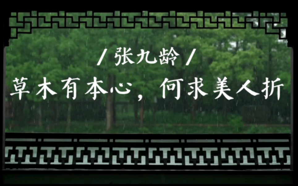 [图]用诗词让你梦回那个唐朝那个人。张九龄——草木有本心，何求美人折。