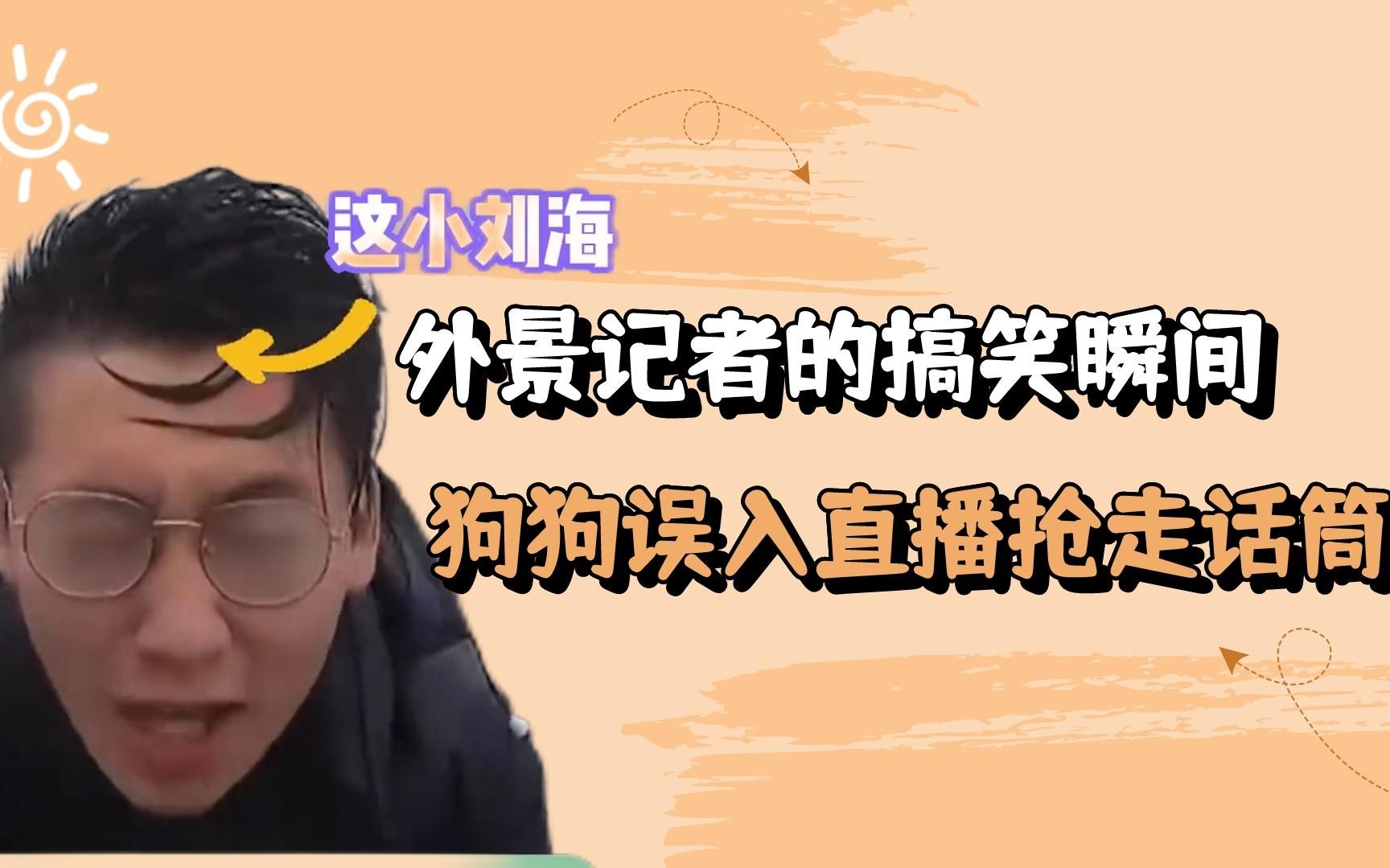 外景记者的搞笑瞬间:金毛乱入叼走话筒,台风天差点被吹跑