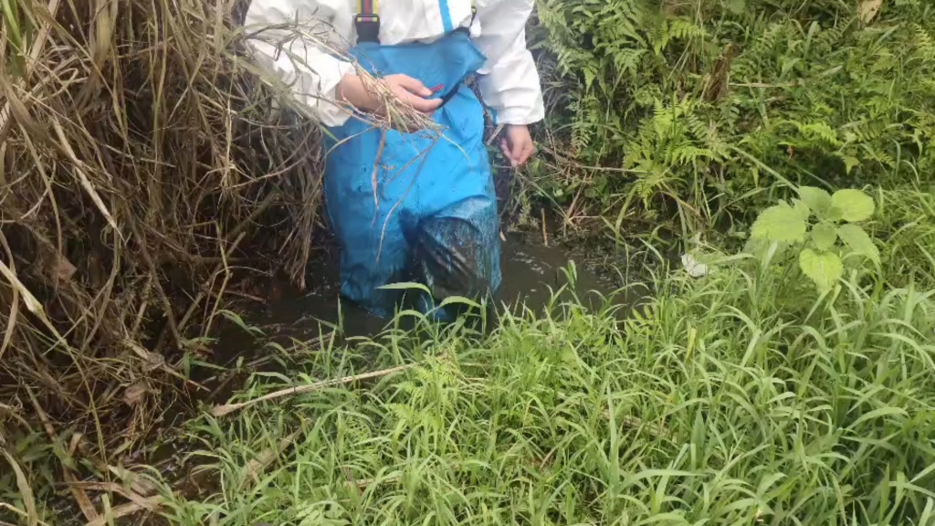 防护服加新的蓝色下水裤踩泥,本来去深的那个的地方但是被人发现了