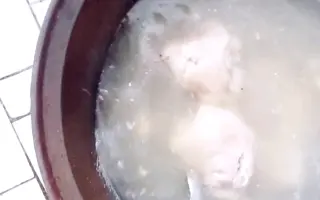 小白水 搜索结果 哔哩哔哩 Bilibili