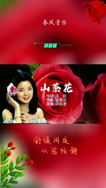 山茶花 邓丽君经典歌曲100首(89)/温婉柔美,好听至极