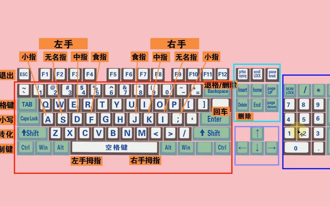 真正零基礎學電腦打字—入門教程