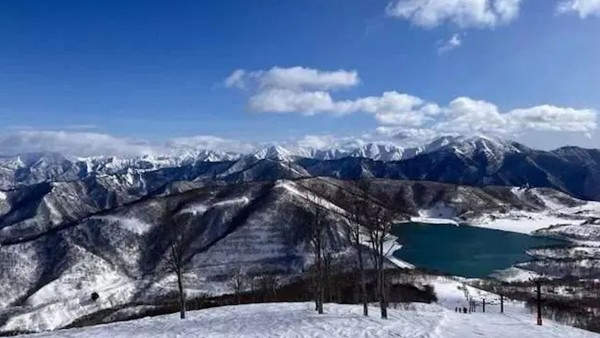 中国女游客日本滑雪身亡,当地教练:摔倒吸入粉雪室息,像面粉灌入口鼻哔哩哔哩bilibili