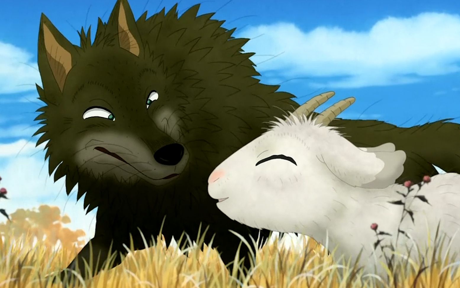 狼与羊是天敌,可这只羊却跟野狼做了朋友,还一起背叛族群!