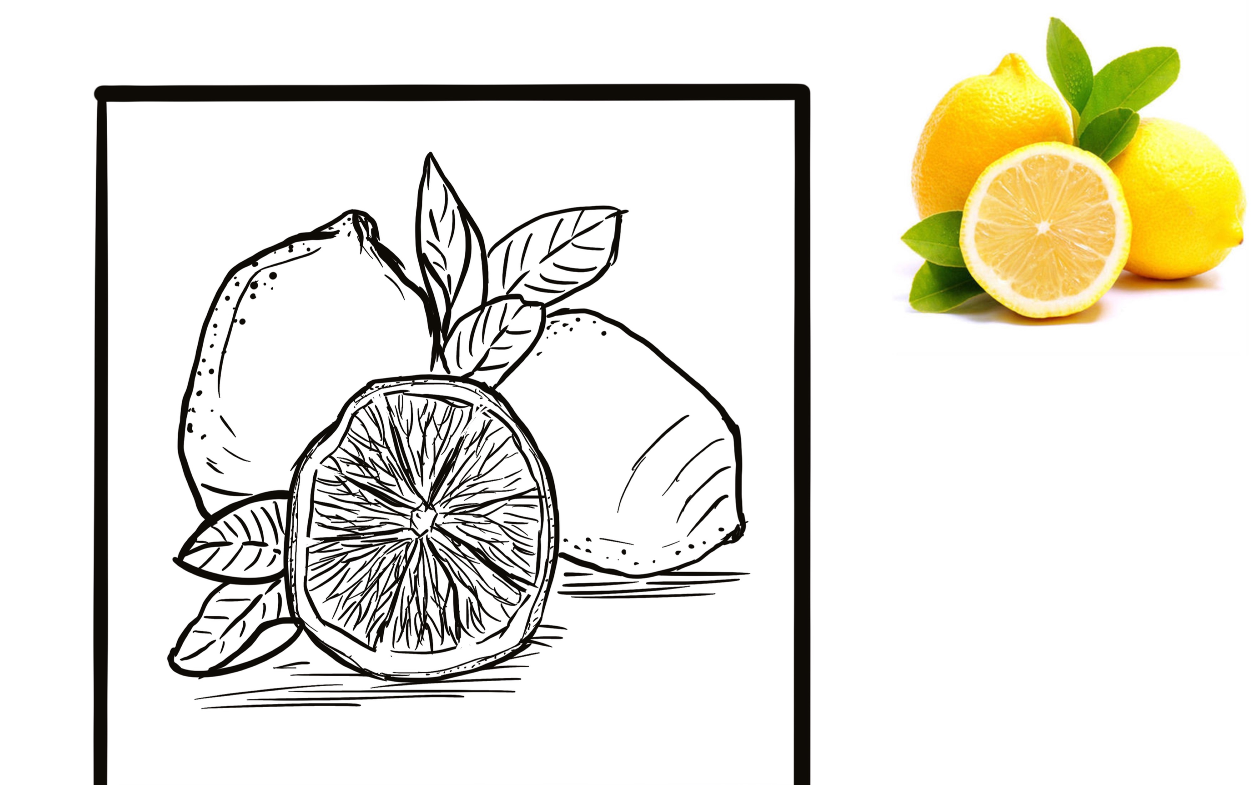 【板绘速写】如何用简单的线条画水果速写