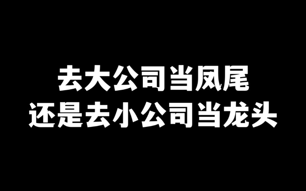 不同人、不同阶段、不同薪水预期:大公司or小公司怎么选?哔哩哔哩bilibili