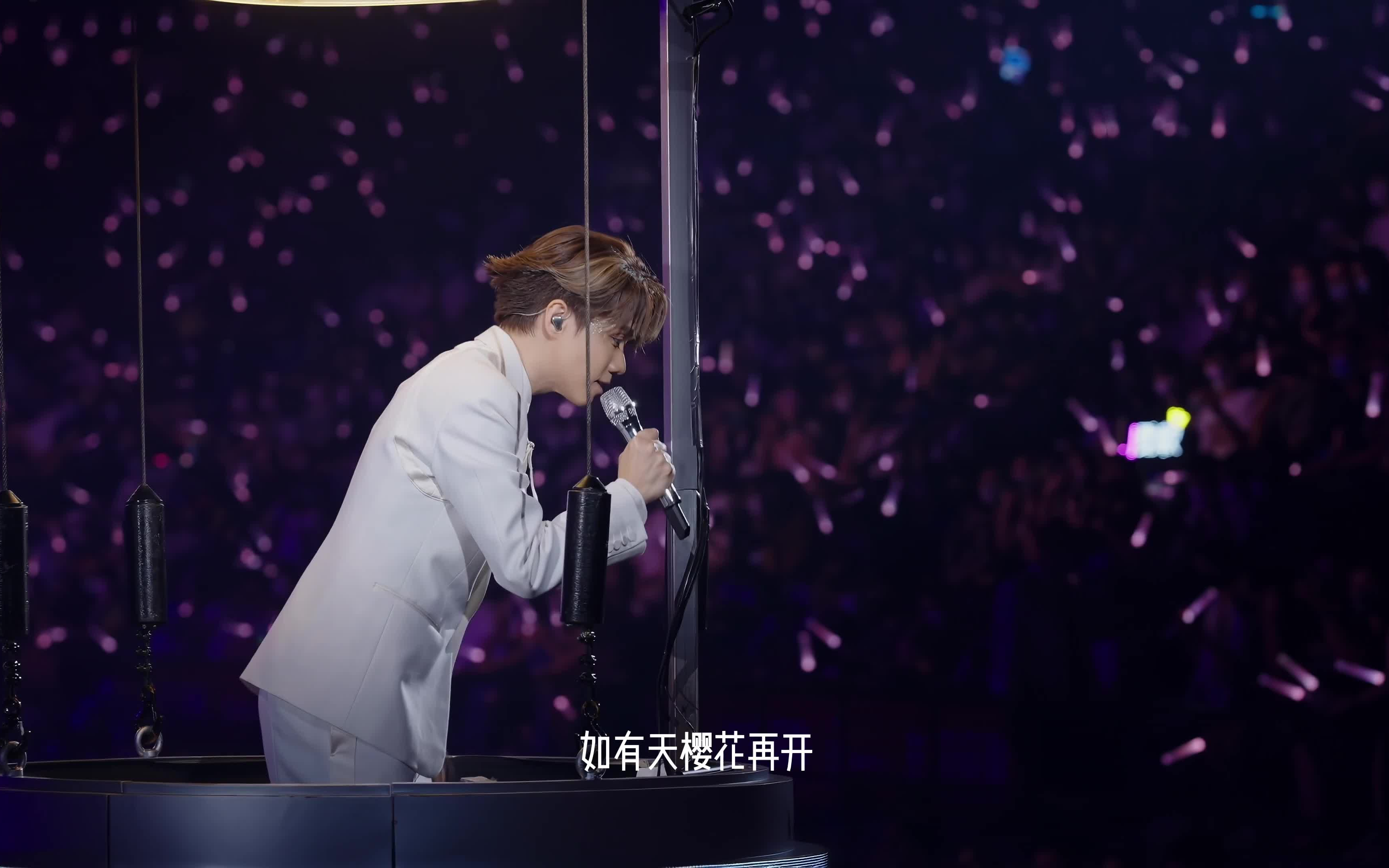 张敬轩《樱花树下》:"怀念美好高中两年,还记得樱花正开,还未懂跟你