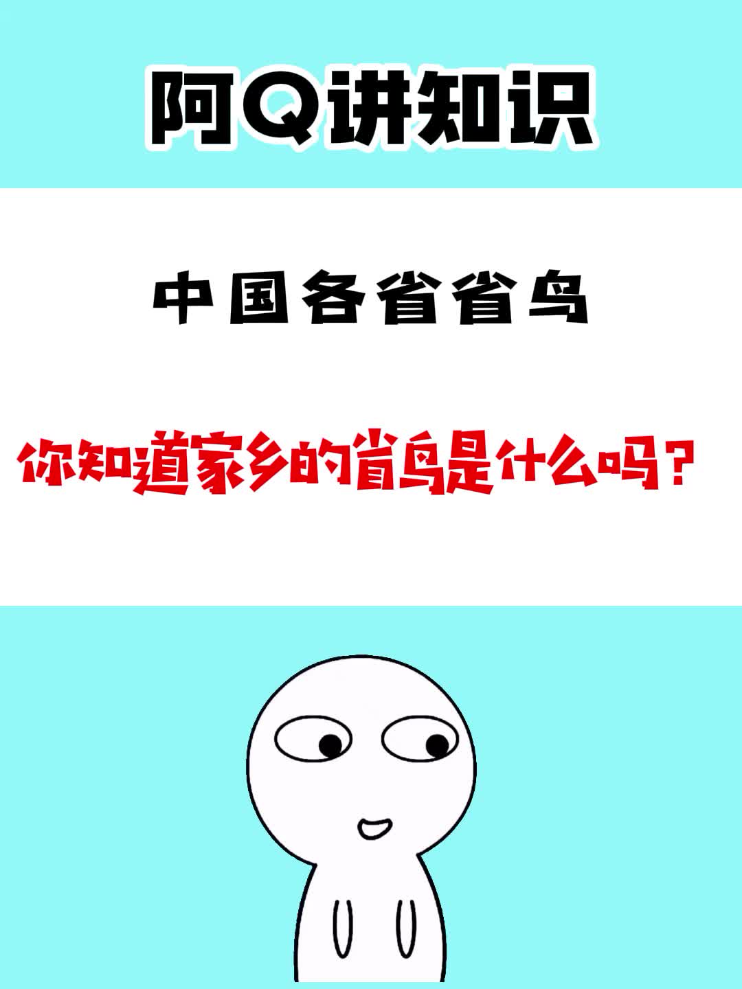 各省省鸟,快来看看你家的是什么鸟?哔哩哔哩bilibili