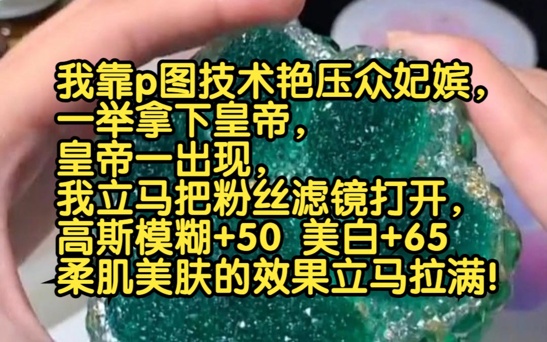 [图]《最懂圣心》——穿书后我靠p图技术艳压众妃嫔，一举拿下皇帝，皇帝刚到梅园，我立马把粉丝滤镜打开，高斯模糊+50美白+65柔肌美肤的效果立马拉满！