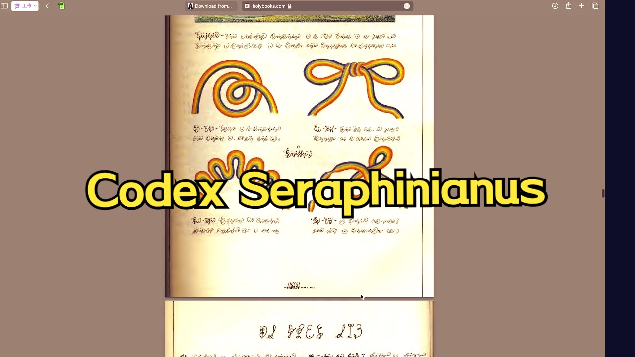 [图]资料分享《Codex Seraphinianus 塞拉菲尼写本》