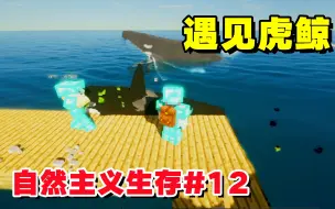 Download Video: 我的世界自然主义12：海边钓鱼，多米与虎鲸来个亲密接触