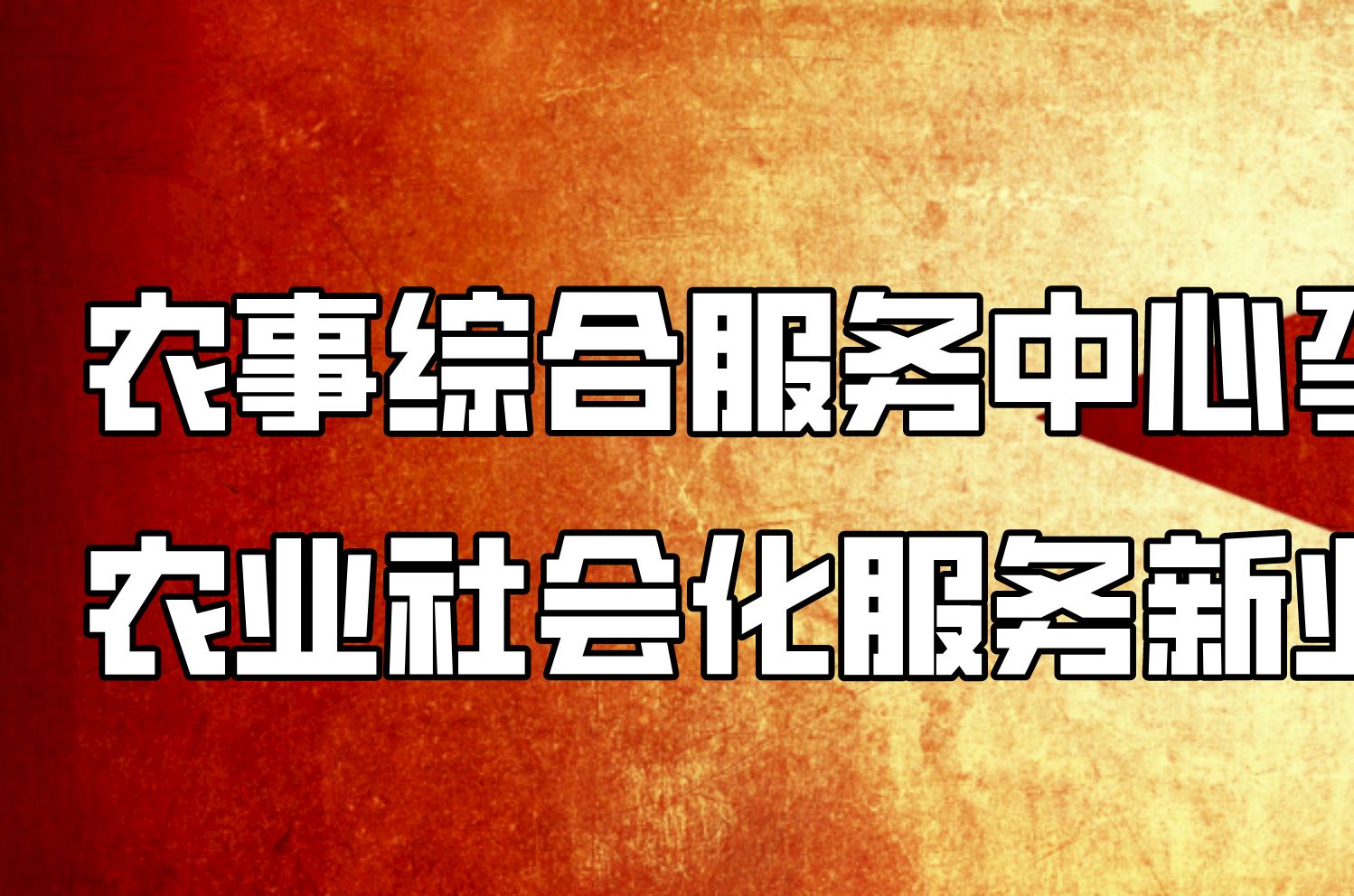 农事综合服务中心孕育农业社会化服务新业态——农业一二三产融合发展(6)哔哩哔哩bilibili