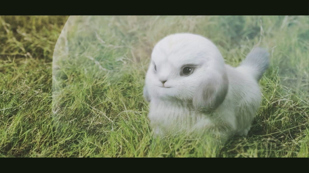 朏朏真的太可爱啦 这是长相思的朏朏被毛球吃掉之生前影像 可怜的朏朏