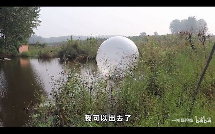 水军五毛醒醒吧看我锤翻你们50万粉up一鸣探险家