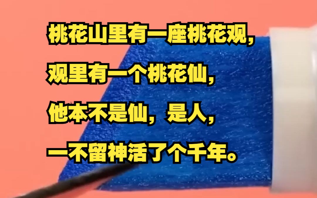 (第二集)桃花山里有一座桃花观,观里有一个桃花仙,他本不是仙,是人,一不留神活了个千年.哔哩哔哩bilibili