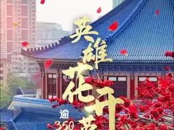 【花城航拍】从一朵花读懂一座城丨广州逾350岁木棉王盛放