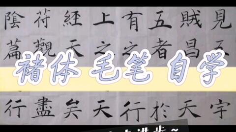 记录自学毛笔六个月的小小进步 哔哩哔哩 Bilibili