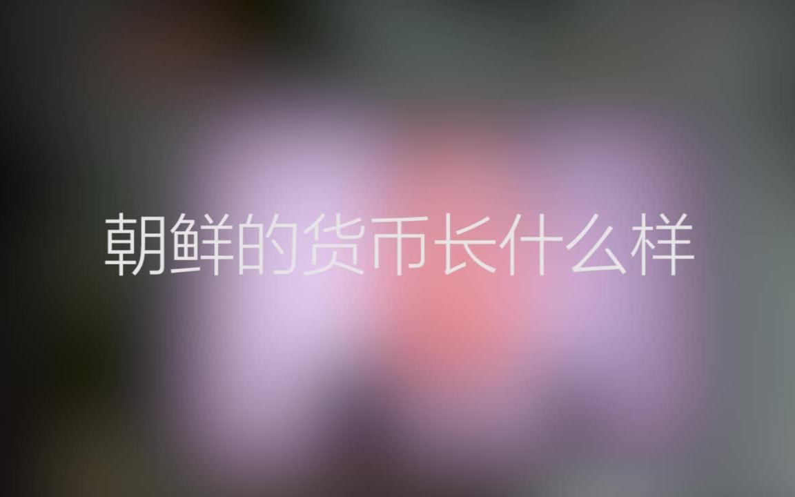 【朝鲜】朝鲜的货币长啥样?哔哩哔哩bilibili