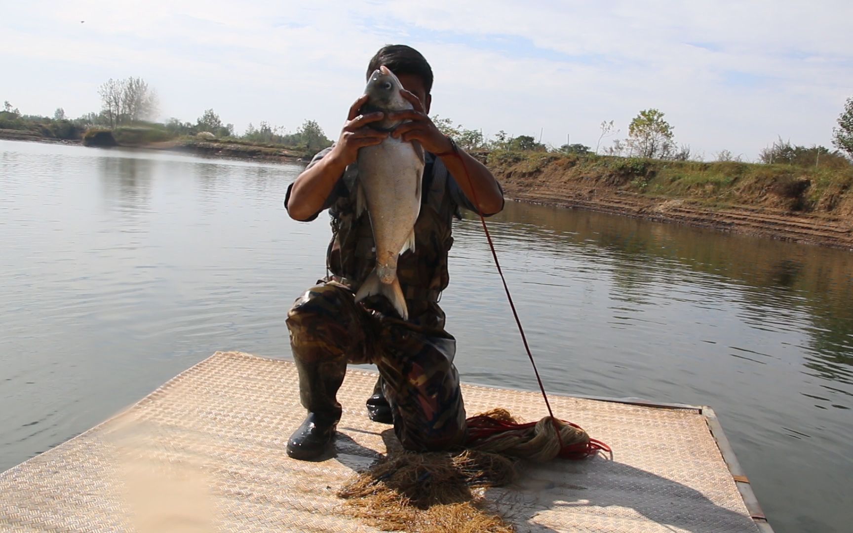 户外小猛哥:小猛哥深坑起鱼,三指眼网撒得圆规画一样,大白鲢头比脸盆