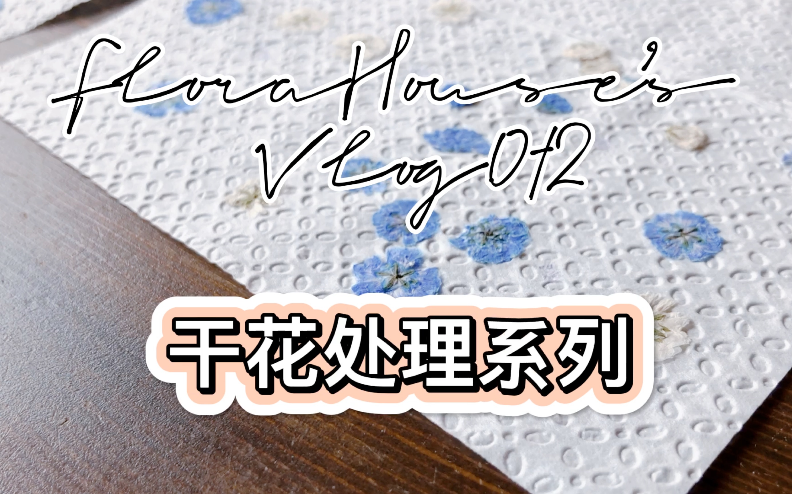 干花处理系列|FLORAHOUSE'S VLOG.012哔哩哔哩bilibili