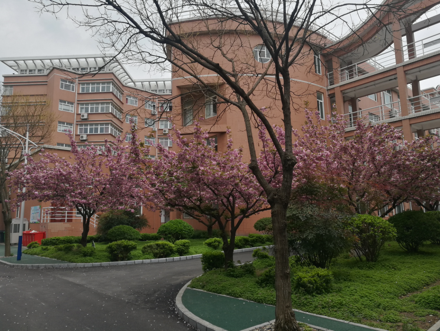 南阳一中 教学楼 二号楼东 春景