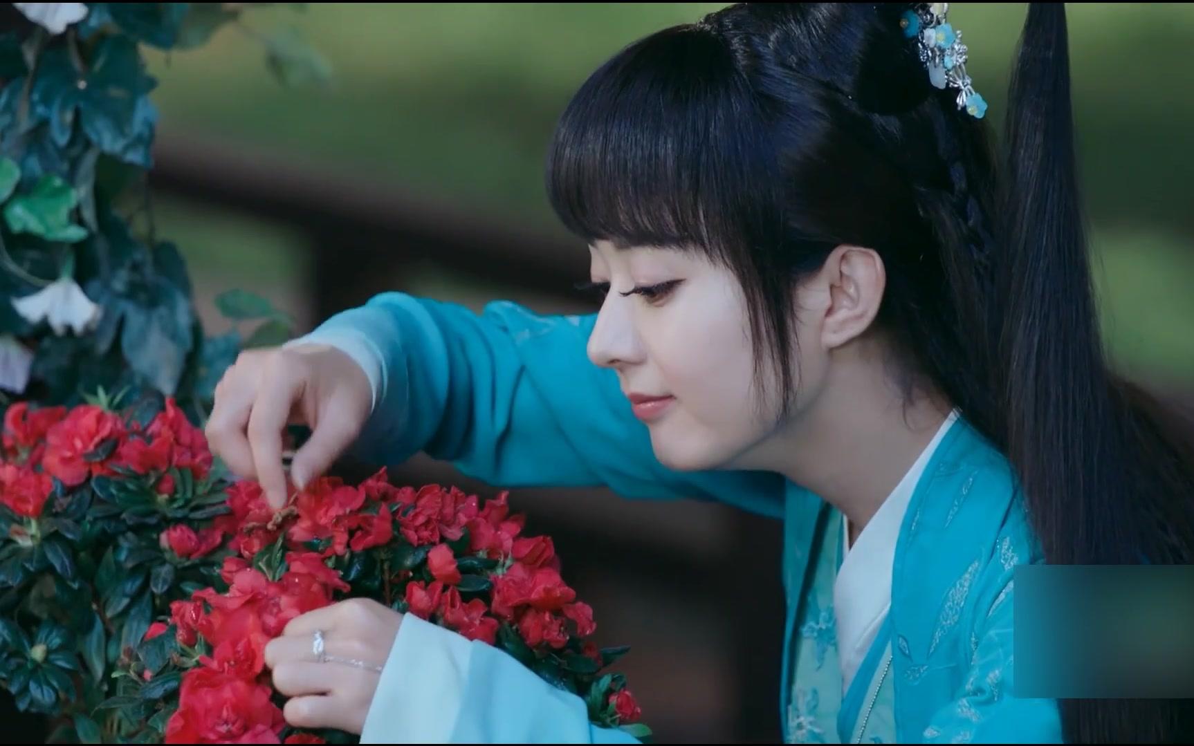 爱剪辑-凡瑶再会渝都城1