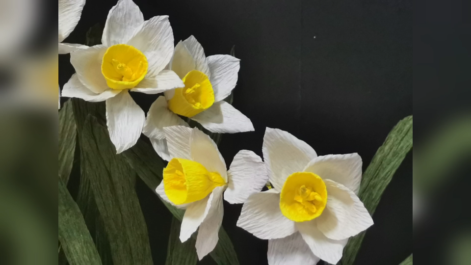 手工diy:皱纹纸水仙花