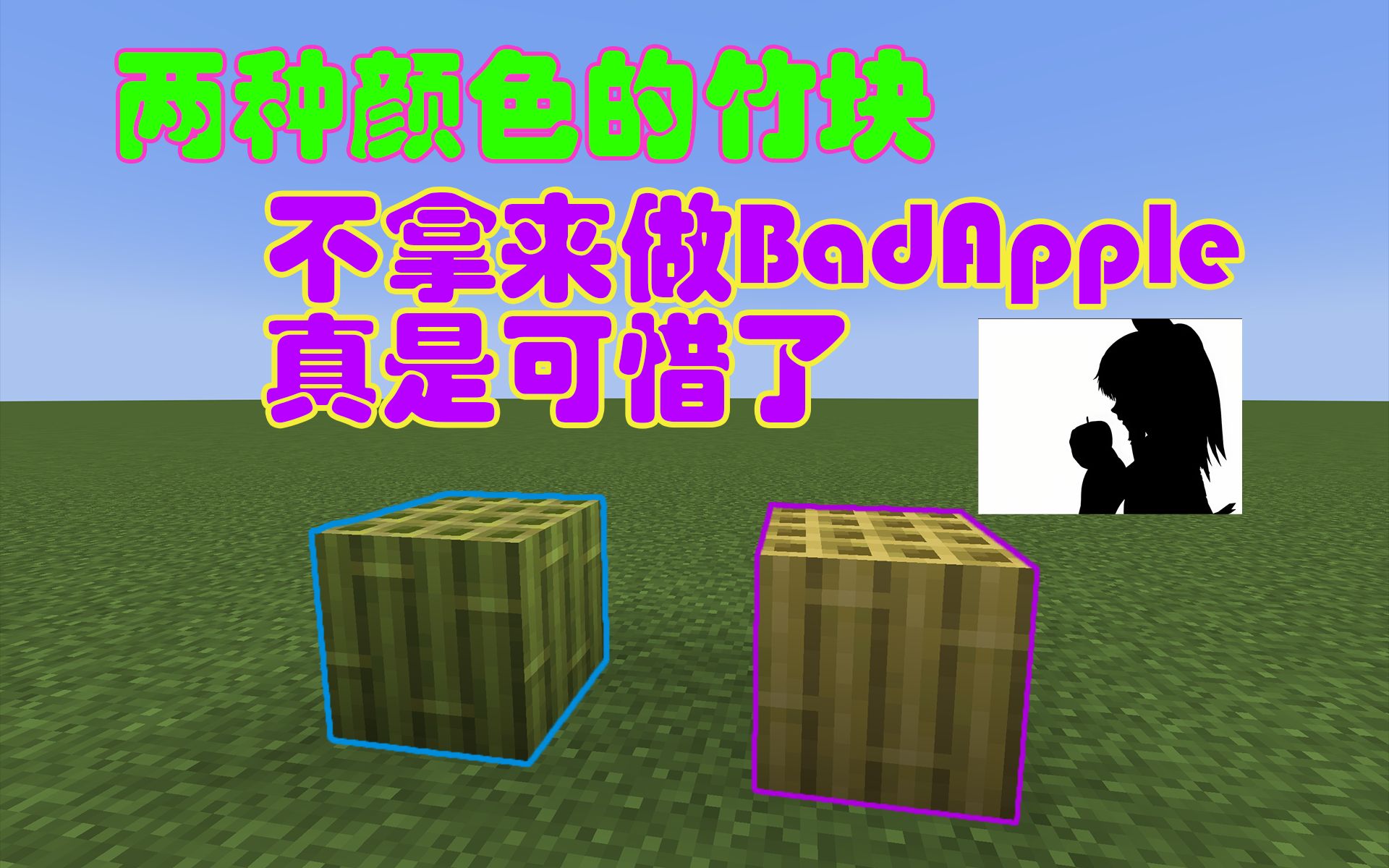 【我的世界】1.20新方块?不!是新的Bad Apple!!哔哩哔哩bilibili