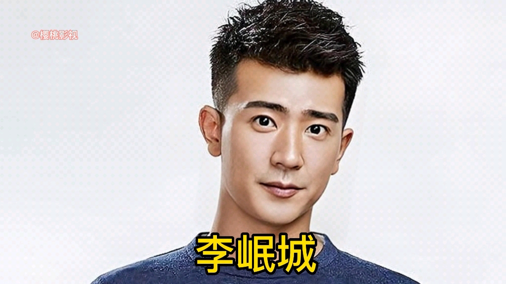 李岷城荧屏颜值变化